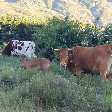 Arrayanes Royal Sierra Nevada